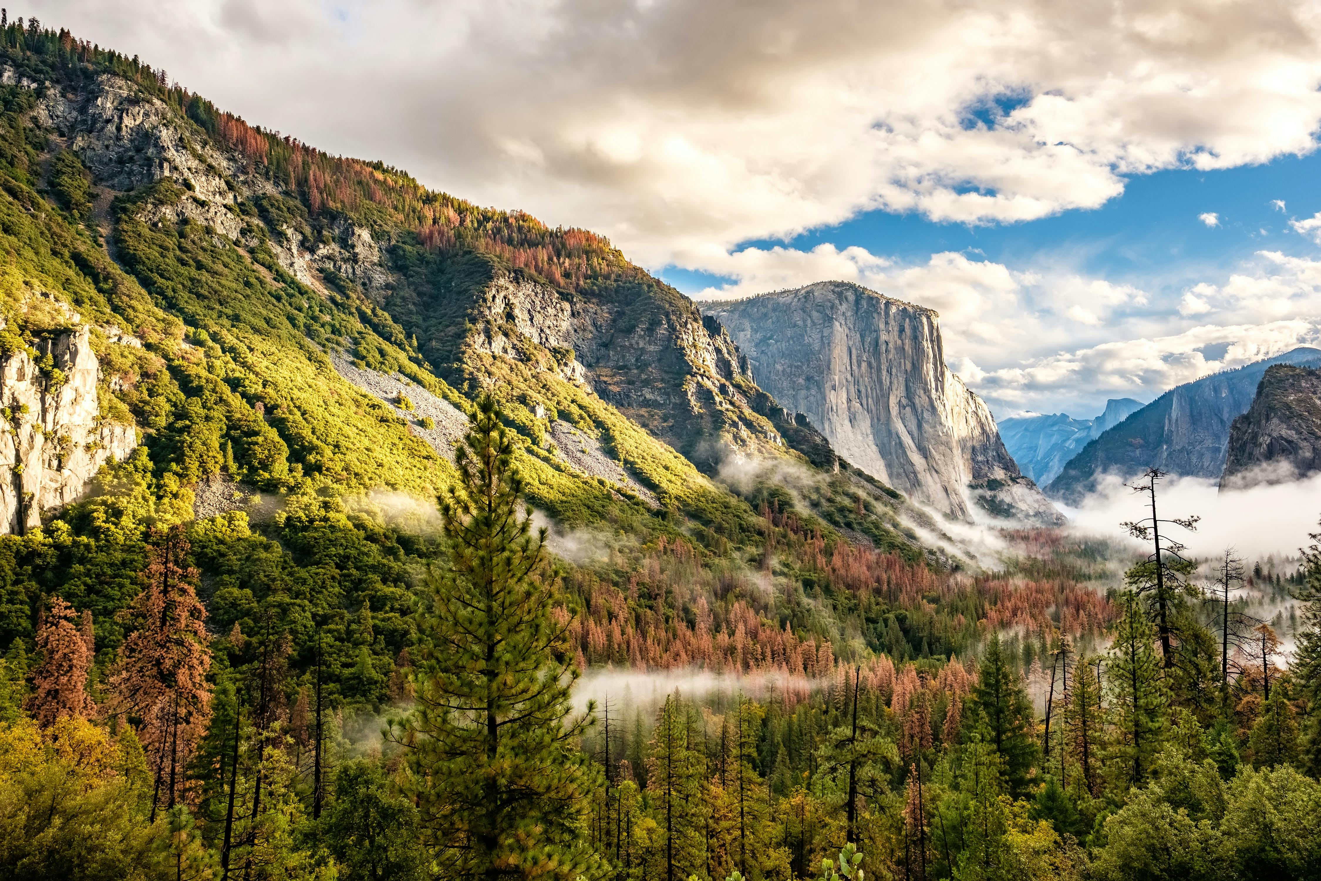 Yosemite-tour met overnachting met verblijf in Valley Lodge
