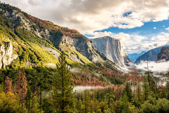 Nocna wycieczka po Yosemite z pobytem w Valley Lodge