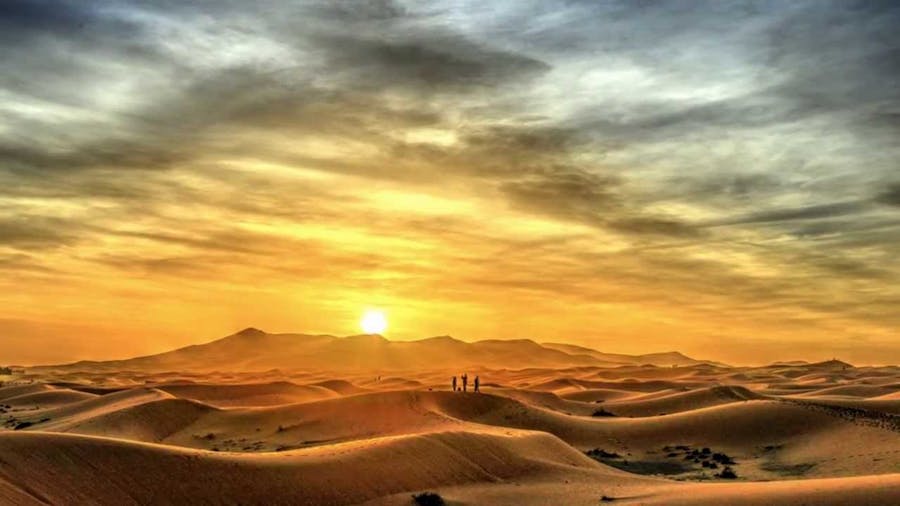 Safari Du Désert Au Lever Du Soleil Dabu Dhabi
