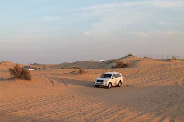 Dubai cityscape and desert safari tour