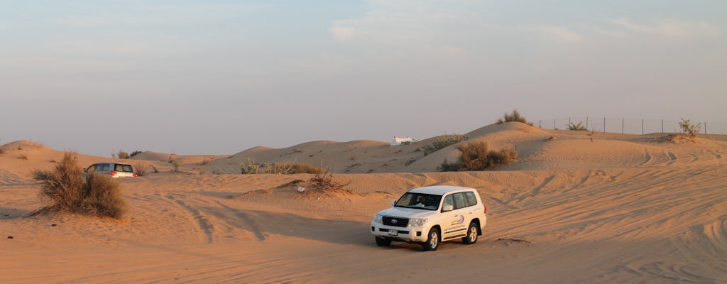 Dubai cityscape and desert safari tour