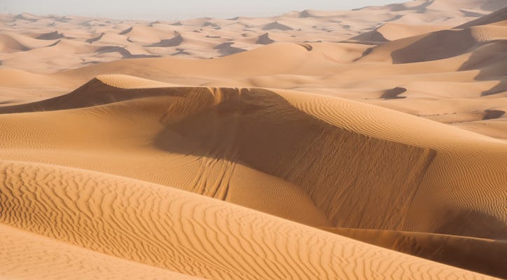 Dubai ochtendwoestijnsafari met kameelrit