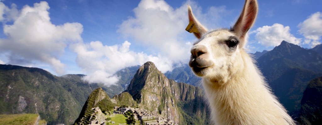 Private guided tour in Machu Picchu