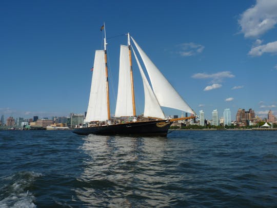 Day sail to Statue of Liberty on America 2.0