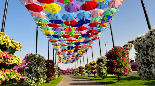 Excursão de compras Dubai Miracle Garden e Global Village