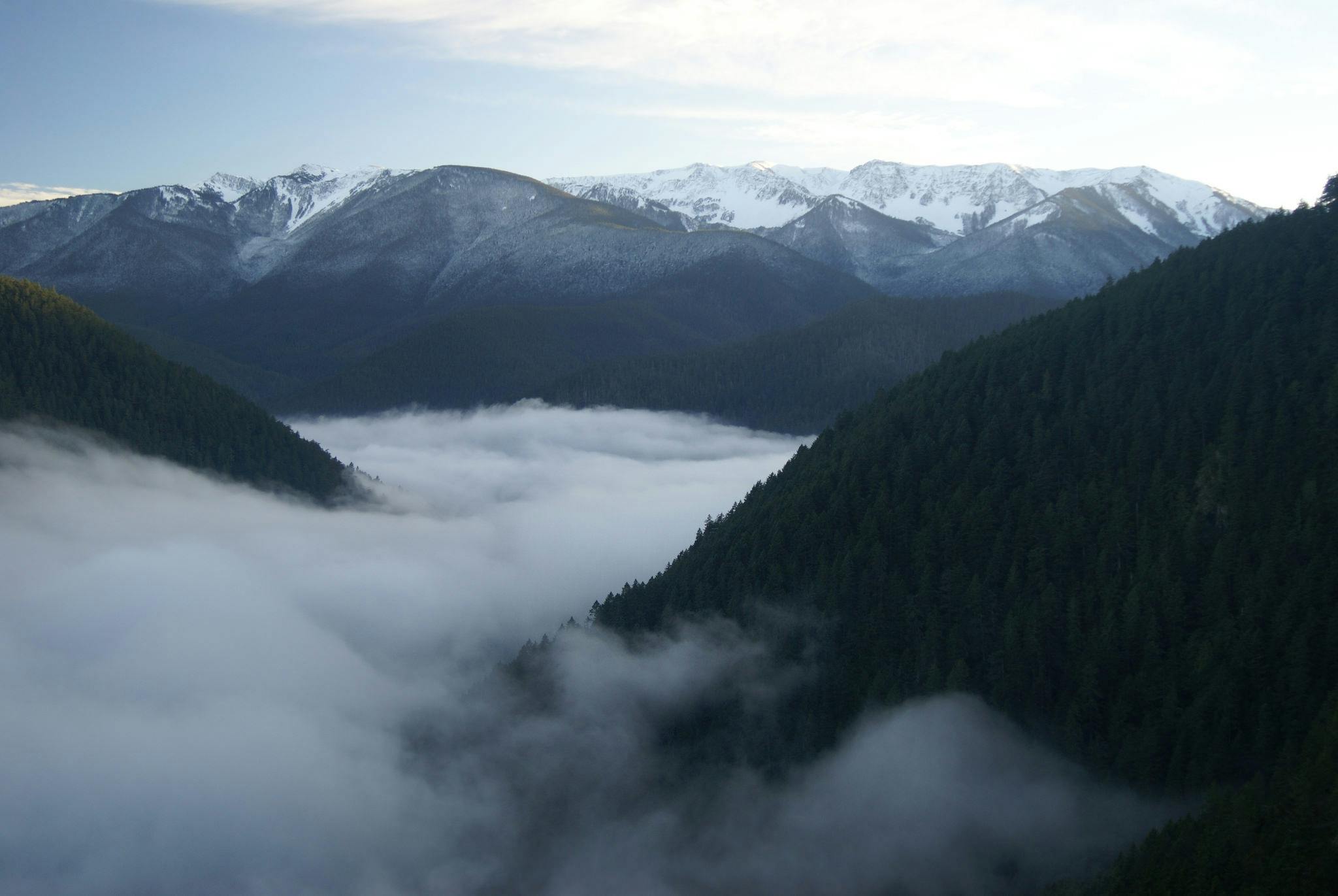 Day Tour w Olympic National Park