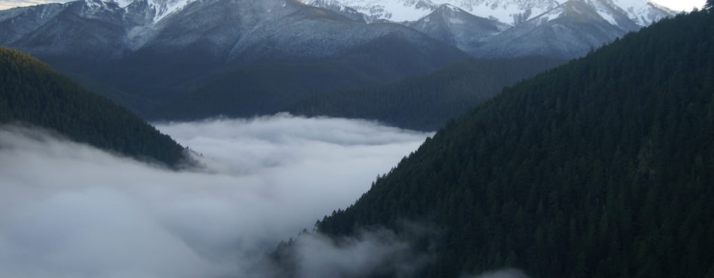 Day Tour w Olympic National Park