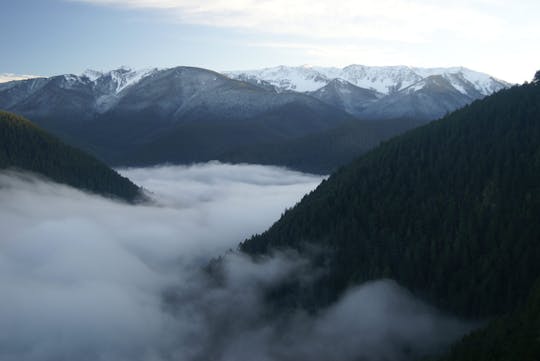 Olympic National Park day tour