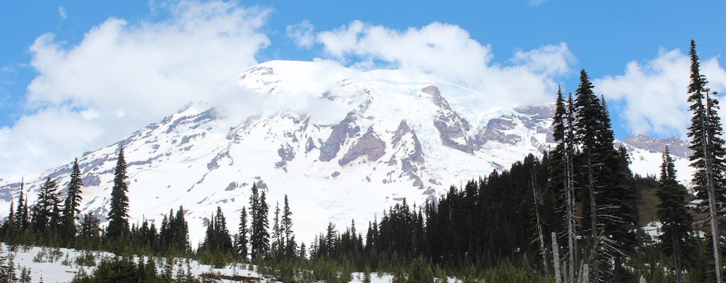 Mt. Excursão do dia do Parque Nacional Rainier