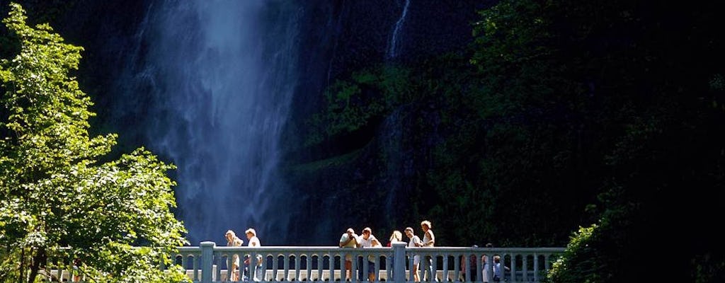 Columbia Gorge waterfalls and wine tour