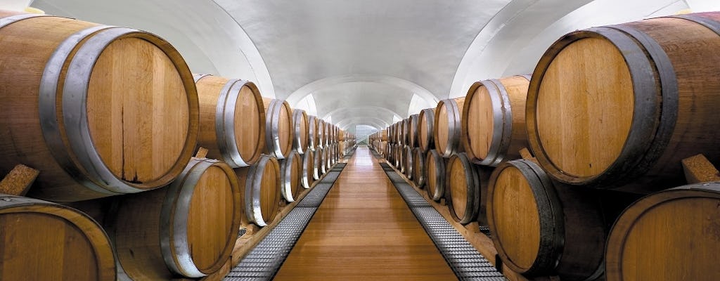 Bezoek en proeverij van Campania-wijnen in de wijnmakerij Feudi di San Gregorio