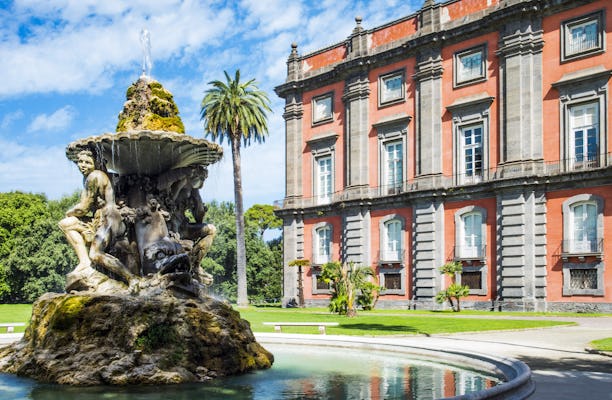 Tickets for Museum and Royal Wood of Capodimonte