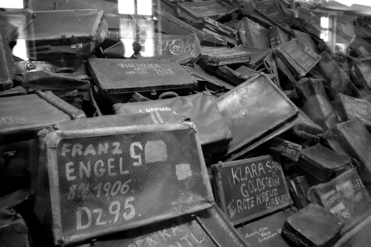 Auschwitz Small Group Tour from Warsaw with Pick-up and Lunch
