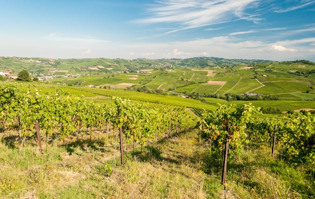 Private wine experience at Alessio Brandolini Winery in Oltrepò