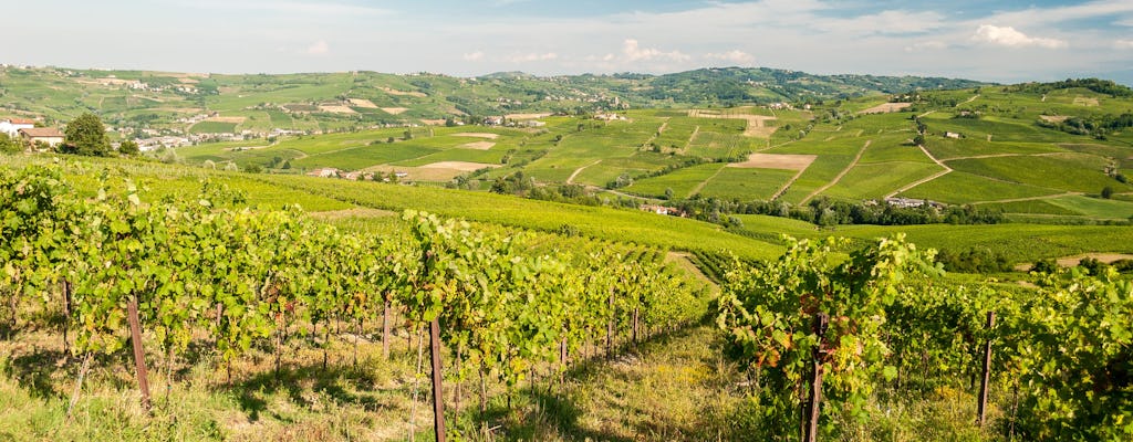 Private wine experience at Alessio Brandolini Winery in Oltrepo'