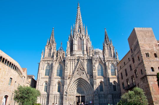 Rondleiding door het Museu Picasso Barcelona en de Gotische wijk