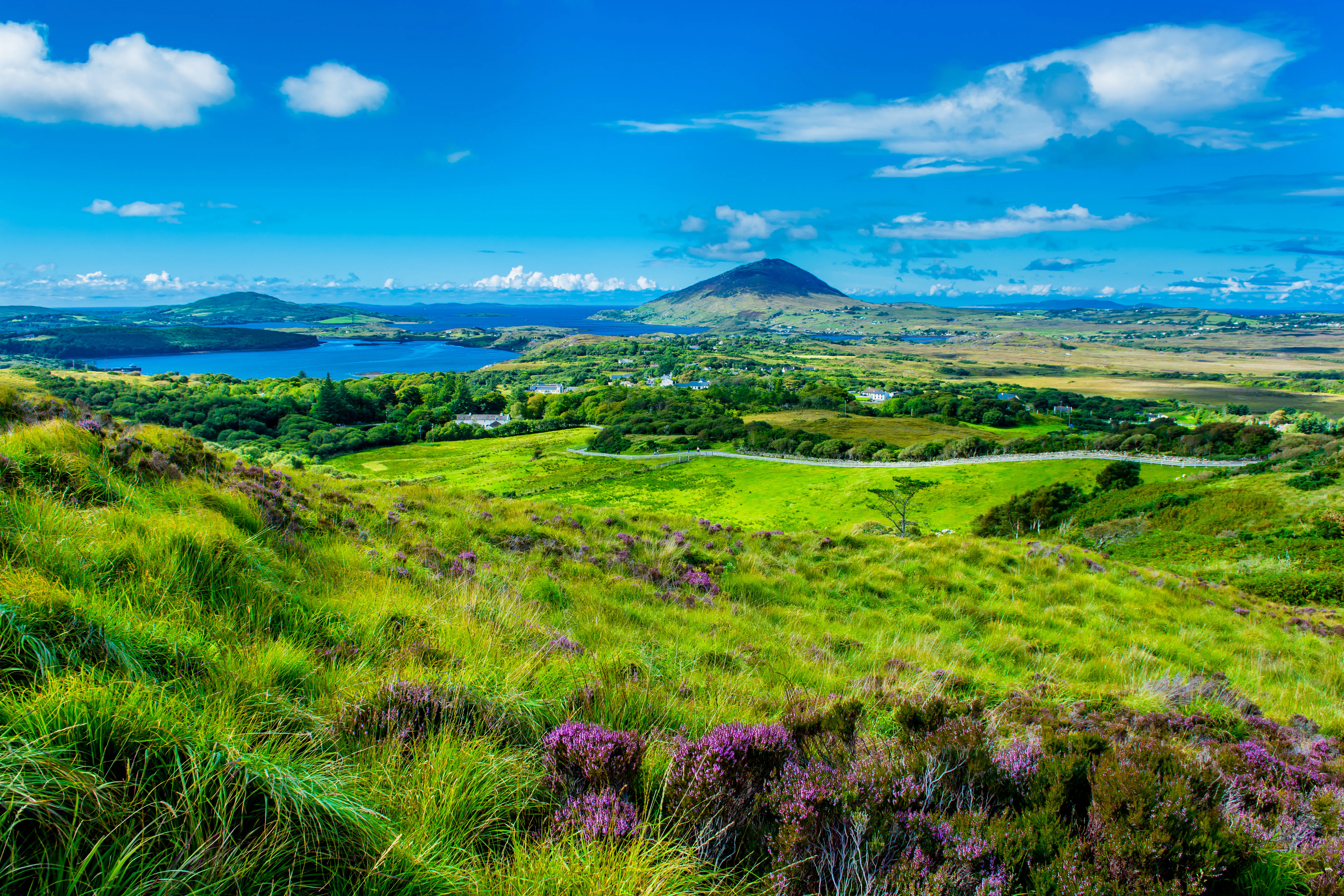 Galway