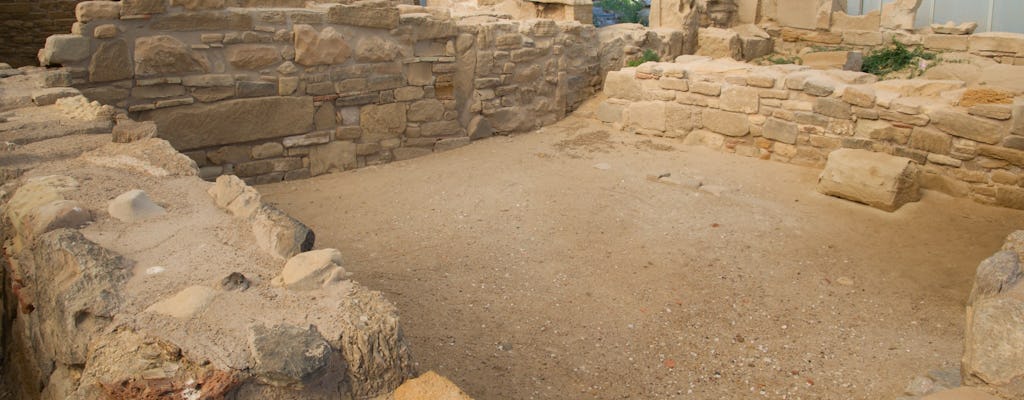 Billets pour la zone archéologique et l'Antiquarium Eraclea Minoa