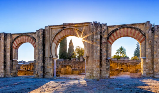 Medina Azahara of Córdoba tickets and guided visit