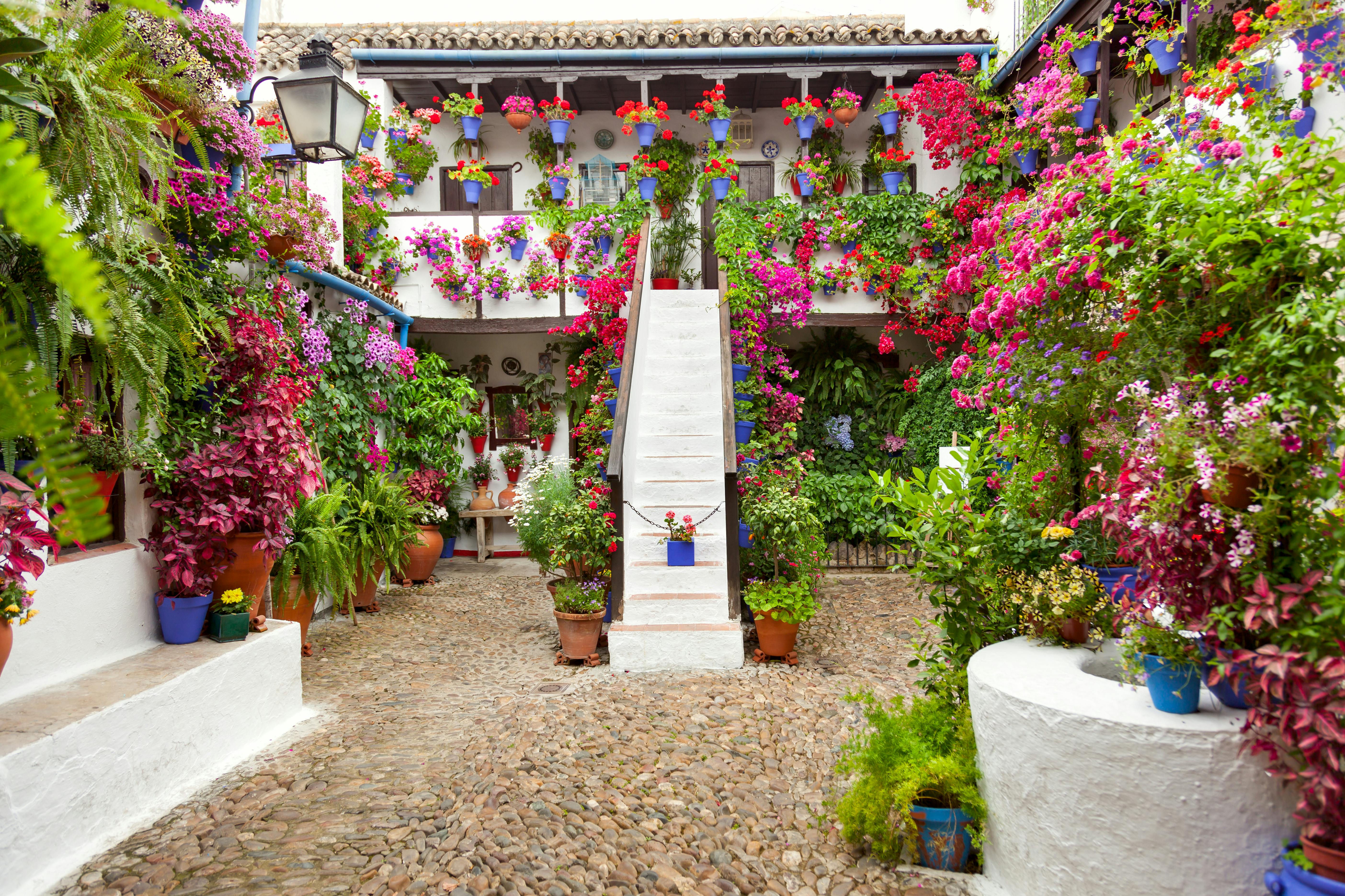 Entrada y visita guiada a los auténticos Patios de Córdoba