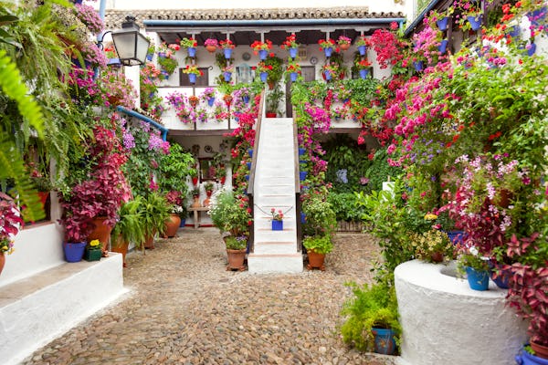 Entrada y visita guiada a los auténticos Patios de Córdoba