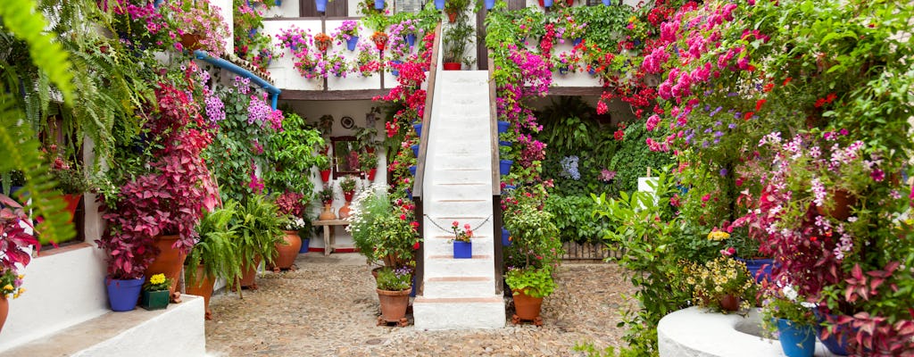 Tickets and guided tour of the authentic patios of Córdoba