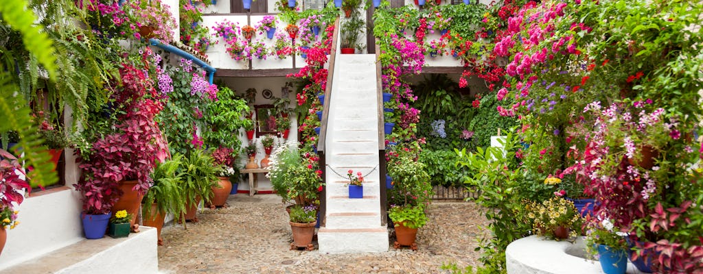 Entradas y visita guiada a los auténticos patios de Córdoba