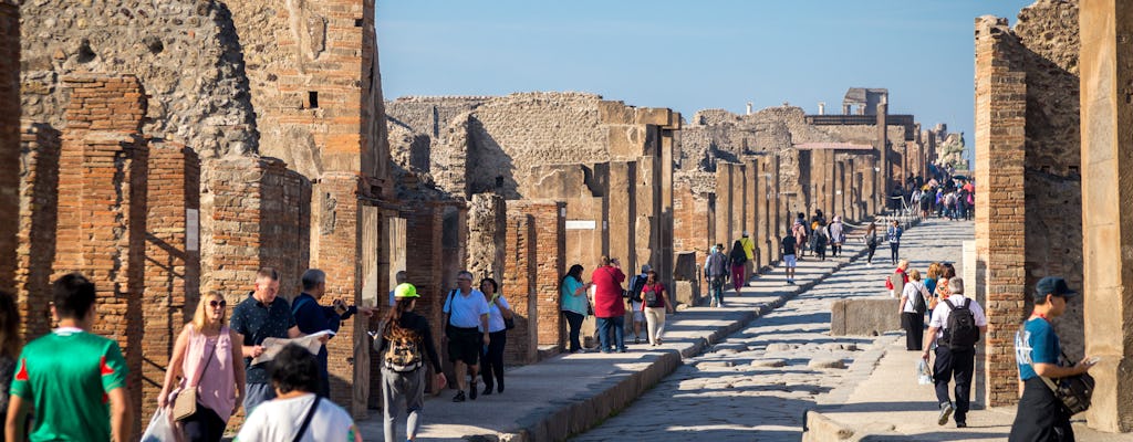 Tour salta fila di Pompei e Sorrento con partenza da Roma