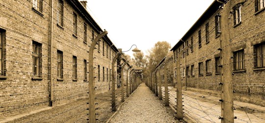 Krakow and Auschwitz small group tour from Warsaw with pick-up and lunch