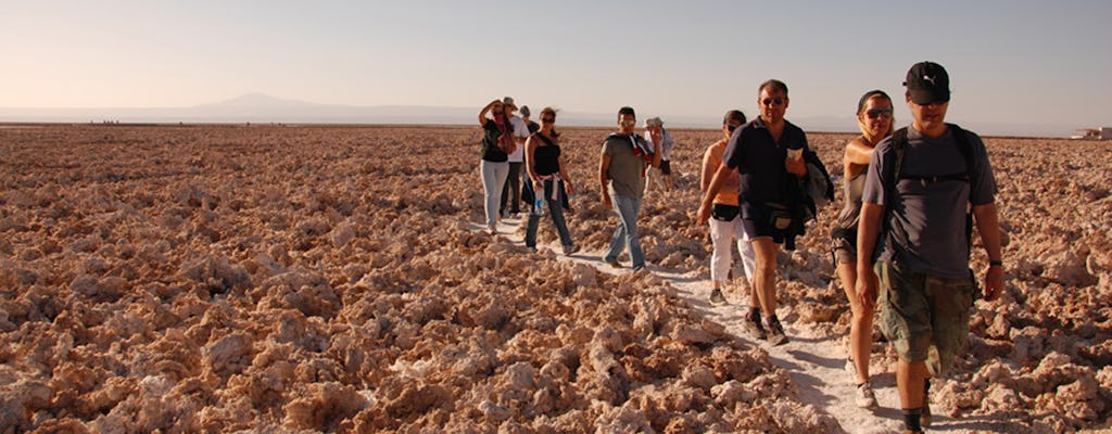 Excursão de meio dia a Atacama Salt Flat e Toconao
