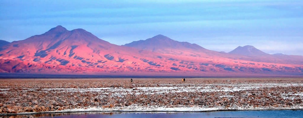 Volledige dag excursie van Atacama Salt Flat en Altiplanic Lagoons