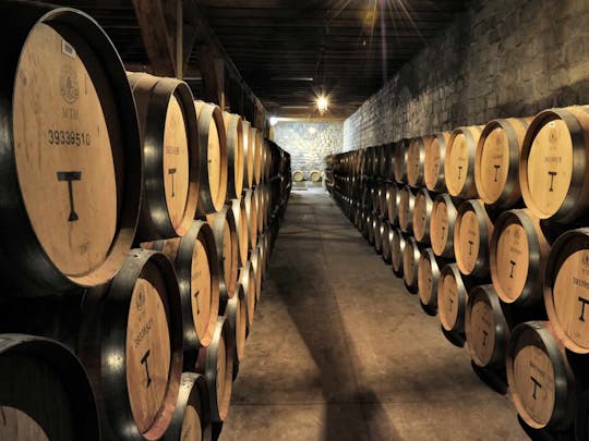 Excursión de medio día al viñedo de Santa Rita