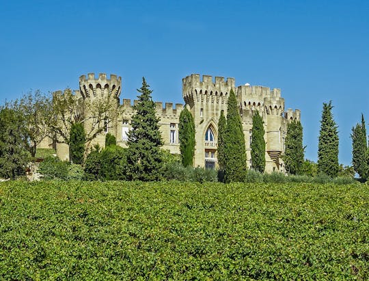Wine-tour in Tavel and Châteauneuf-du-Pape