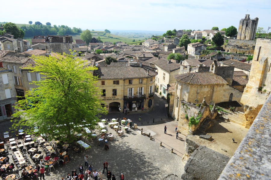 Gourmet trip in Bordeaux from Paris with wine-tasting