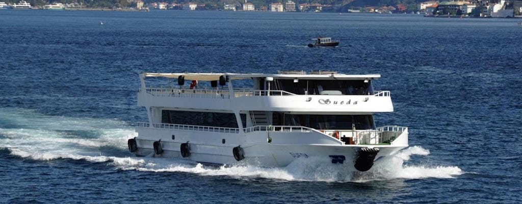 Bosphorus cruise, Dolmabahce Palace and Two Continents tour