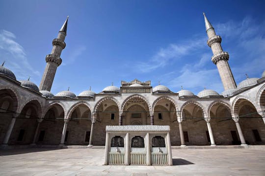 Bilet wstępu bez kolejki do pałacu Topkapı i meczetu Sulejmana