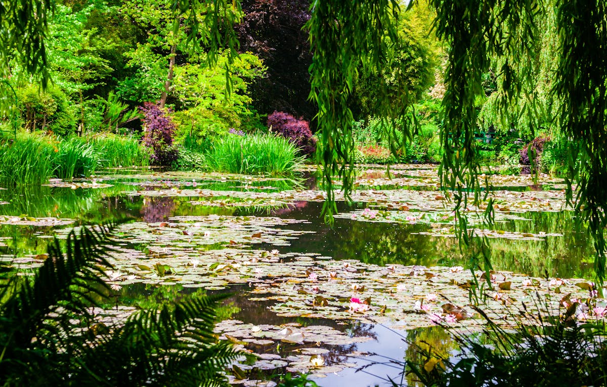 Visitare Giverny e Versailles di Monet in un solo giorno