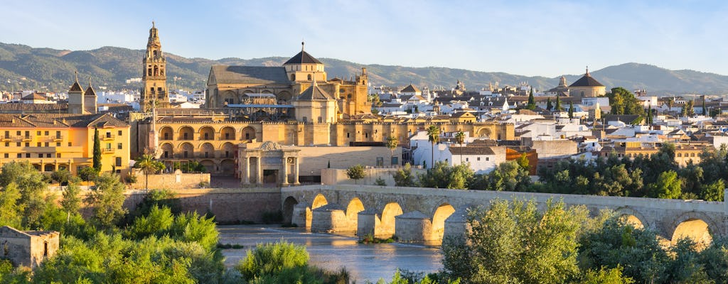 Cordoba city tour from Seville