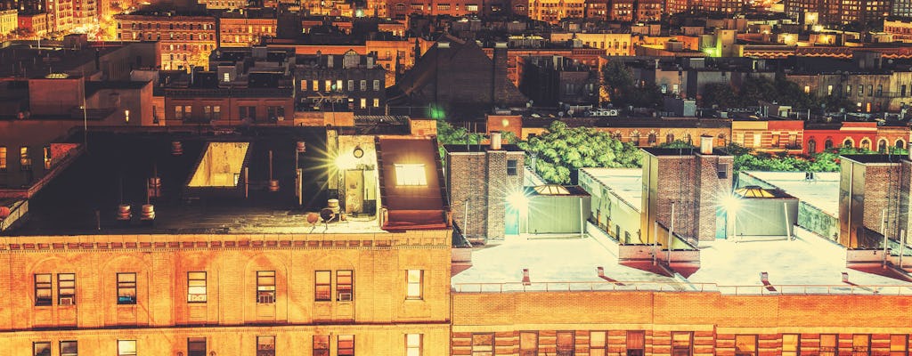 Recorridos por los barrios de Nueva York: Brooklyn, Bronx, Harlem, Queens y Coney Island