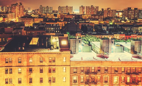 Neighborhoods of New York tour: Brooklyn, Bronx, Harlem, Queens and Coney Island