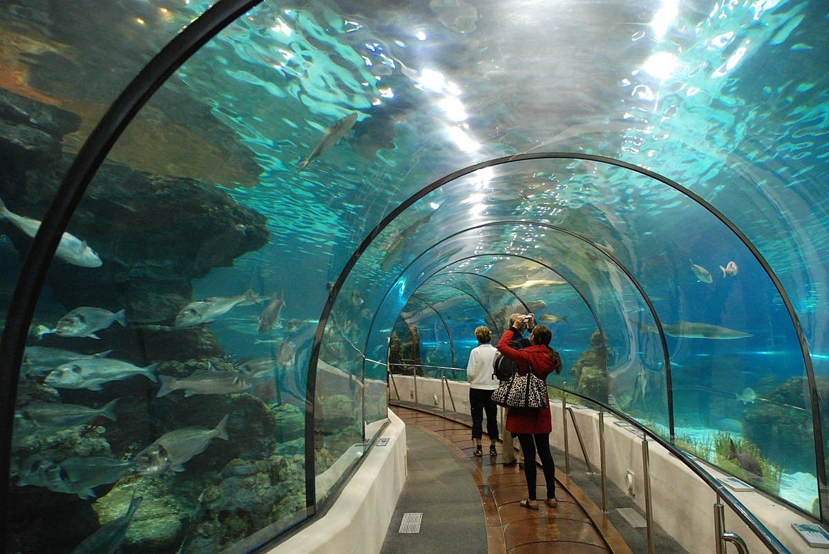 Barcelona Aquarium skip-the-line tickets boeken?