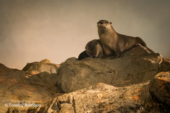 San Francisco Aquarium of the Bay tickets