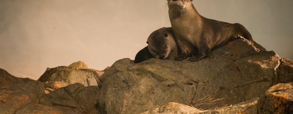 Billets pour l'Aquarium de la Baie de San Francisco