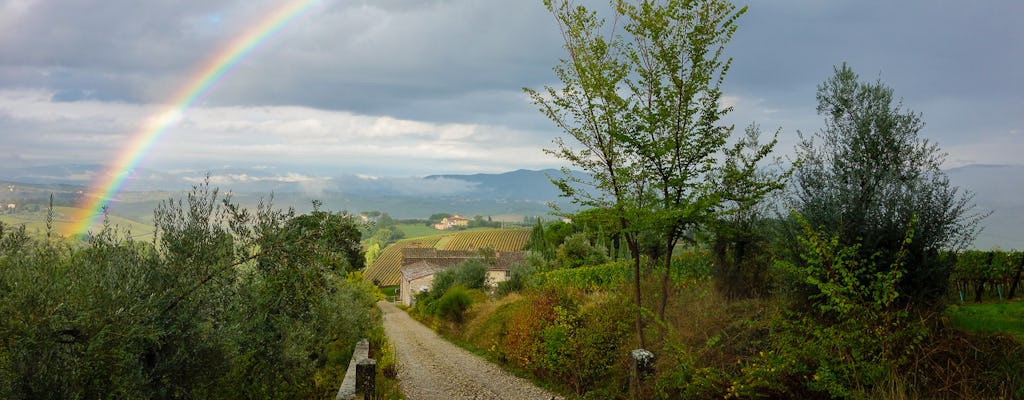 Excursão de vinho Chianti em dia inteiro