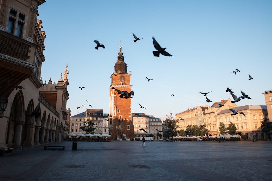 Krakow in one day: 3-hour city tour by electric car with optional Schindler's Factory visit