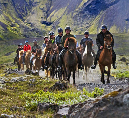 Horse riding tour with Gullfoss, Geysir and Þingvellir