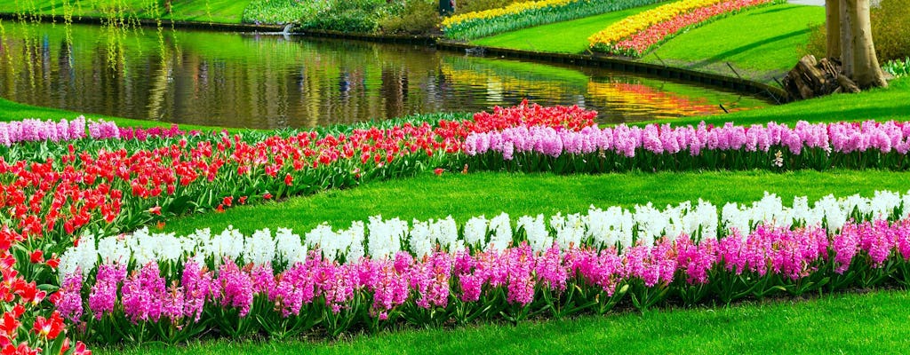 Keukenhof skip-the-line tickets and Spanish guided tour from Amsterdam