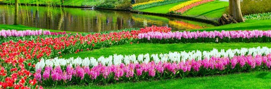 Keukenhof spring-køen-over indgang og guidet tur på spansk fra Amsterdam