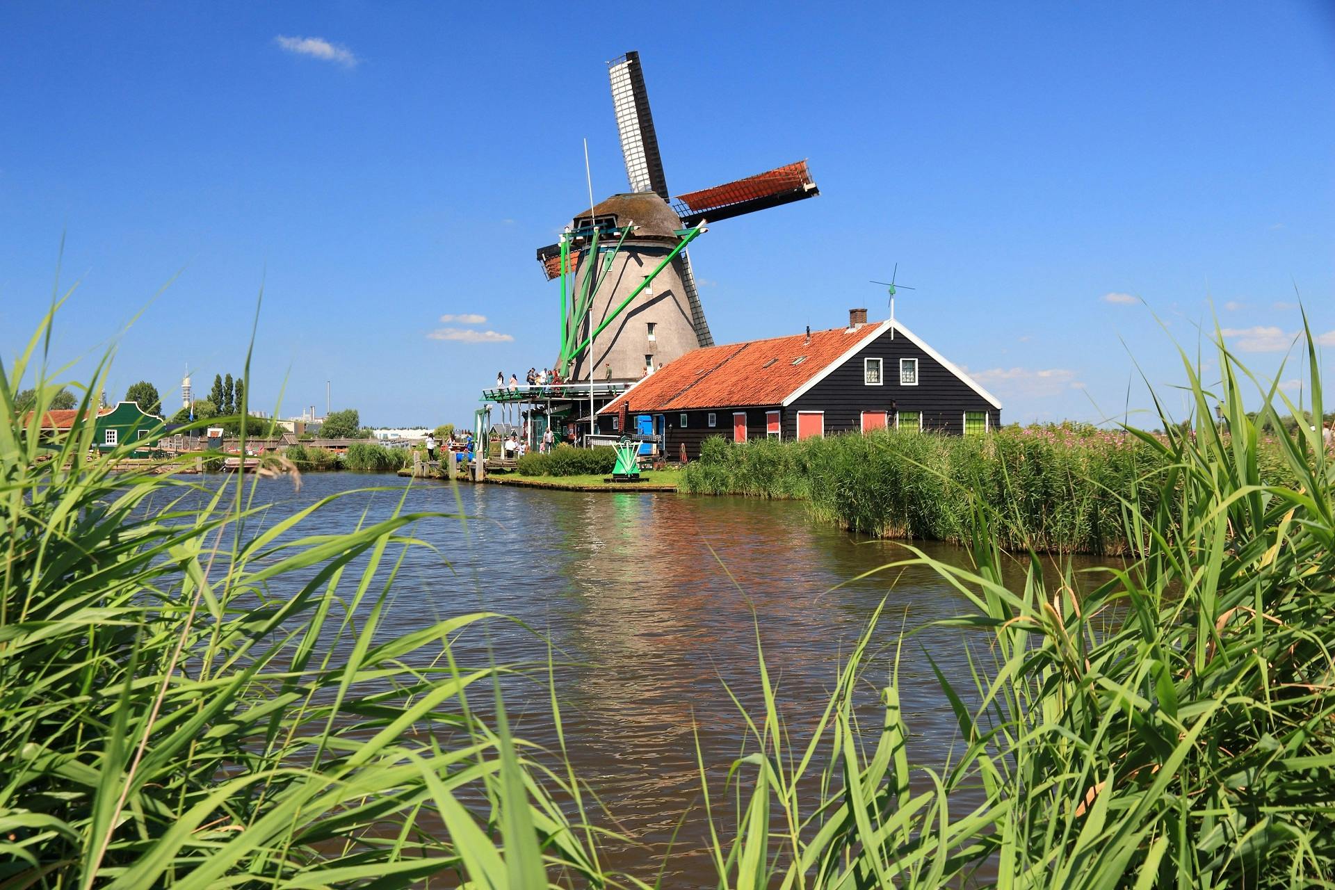 Excursión en grupo a los molinos de Zaanse Schans, Edam, Volendam en Marken