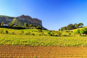 Dégustation de vins à Marseille